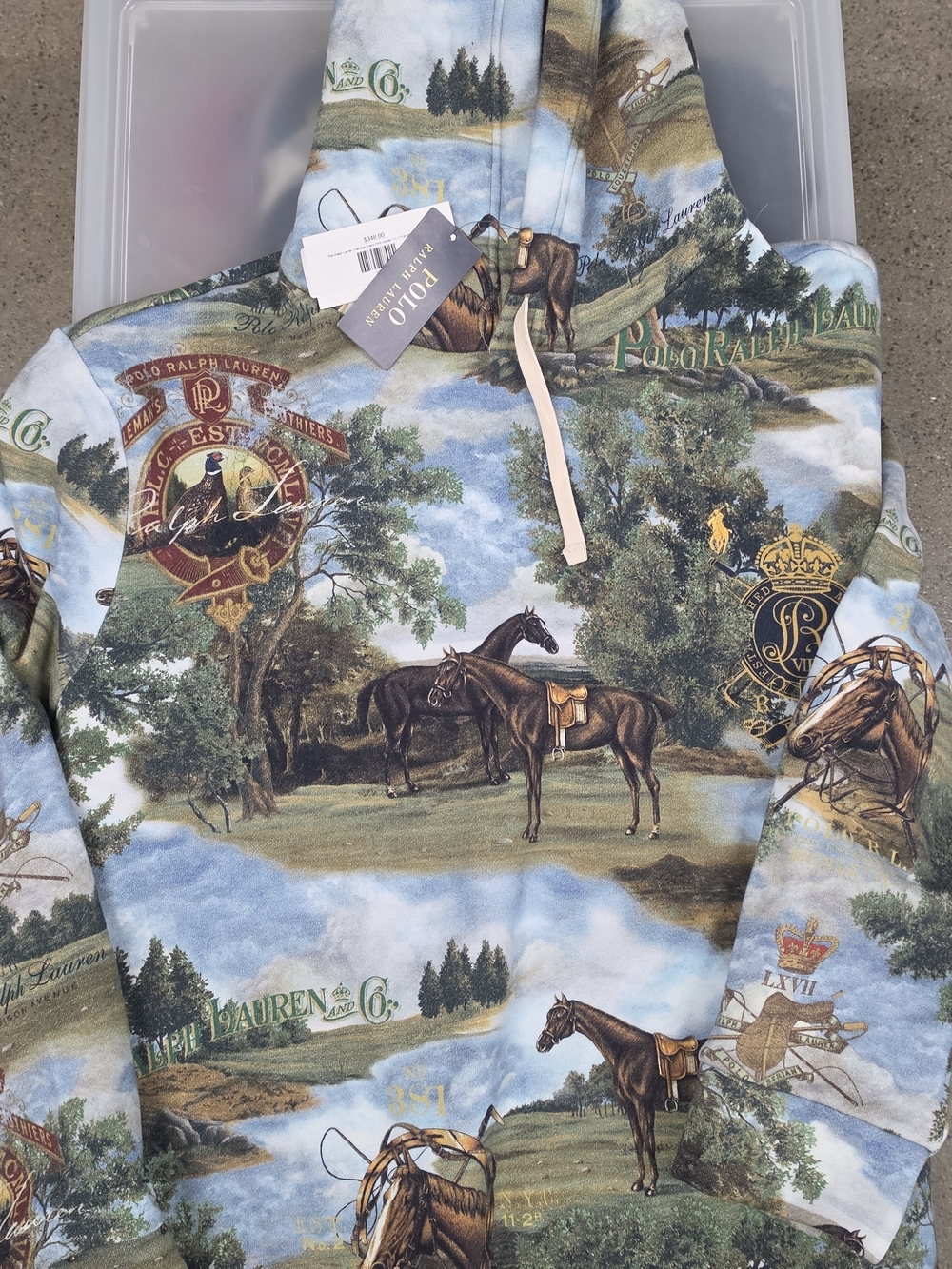 Polo by Ralph Lauren Scenic Equestrian Print Hoodie in Blue, Green, Brown
